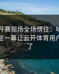 网球公开赛现场全场愣住：哈兰德与拜仁的这一幕让云开体育用户讨论炸了