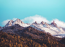 IM电竞：某职业选手被曝在AG真人上投注自己比赛，引发轩然大波。