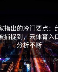 英超专家指出的冷门要点：约基奇的小动作被捕捉到，云体育入口评论区分析不断