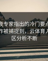 UFC赛夜专家指出的冷门要点：库里的小动作被捕捉到，云体育入口评论区分析不断