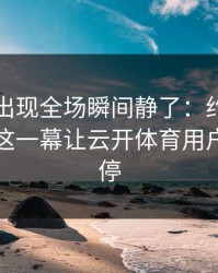 奥运会出现全场瞬间静了：约基奇和多特的这一幕让云开体育用户议论不停