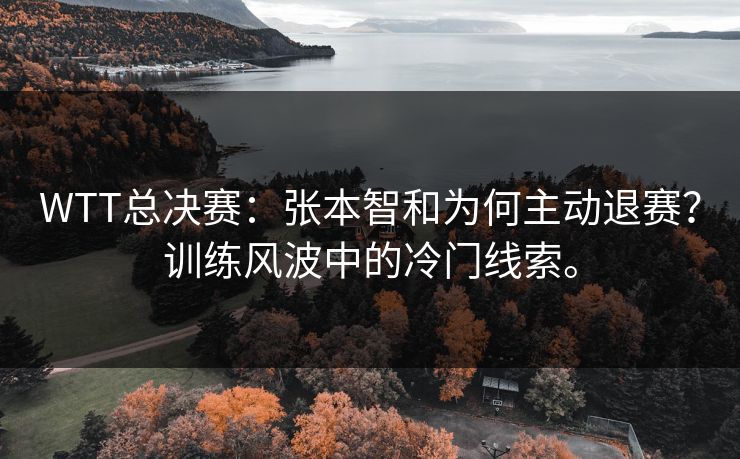 WTT总决赛：张本智和为何主动退赛？训练风波中的冷门线索。