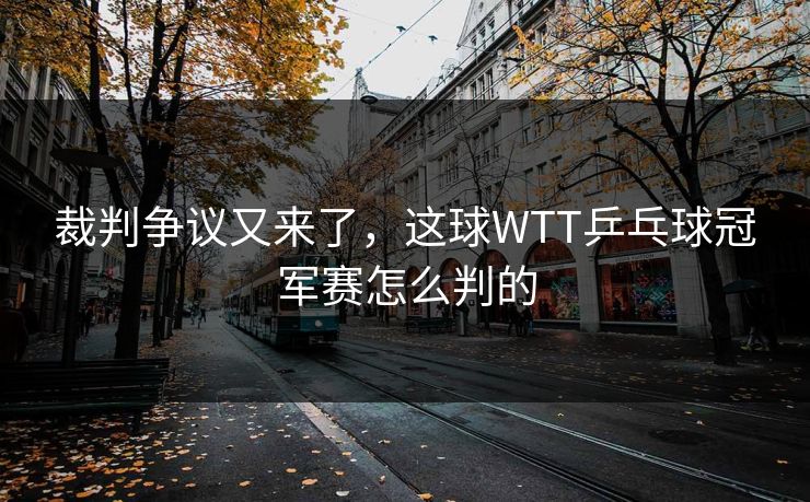 裁判争议又来了，这球WTT乒乓球冠军赛怎么判的