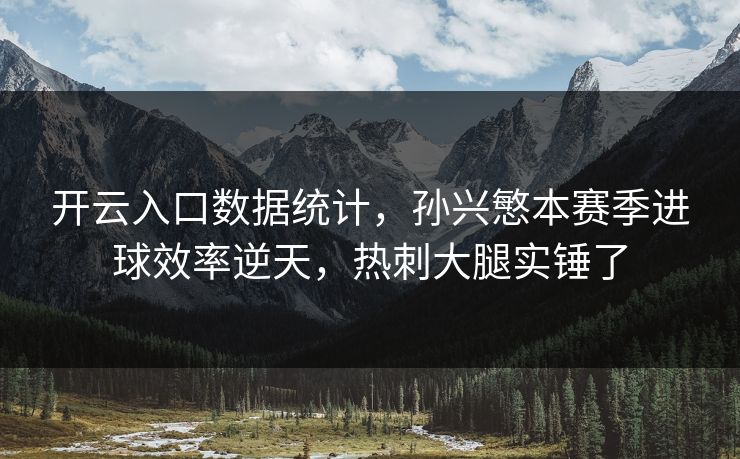 开云入口数据统计，孙兴慜本赛季进球效率逆天，热刺大腿实锤了